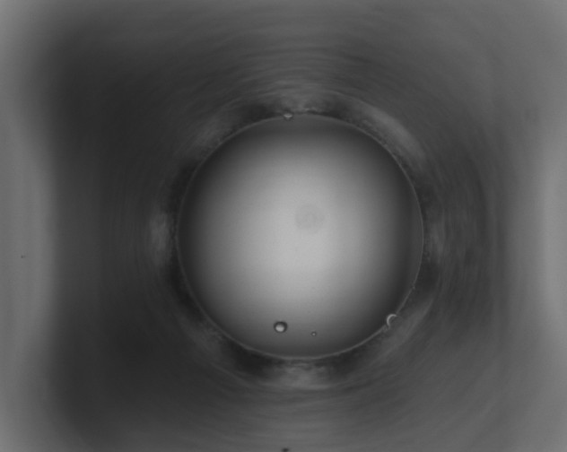 X0000101090121200806261459