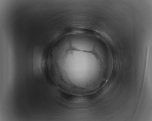 X0000101090123200806261459