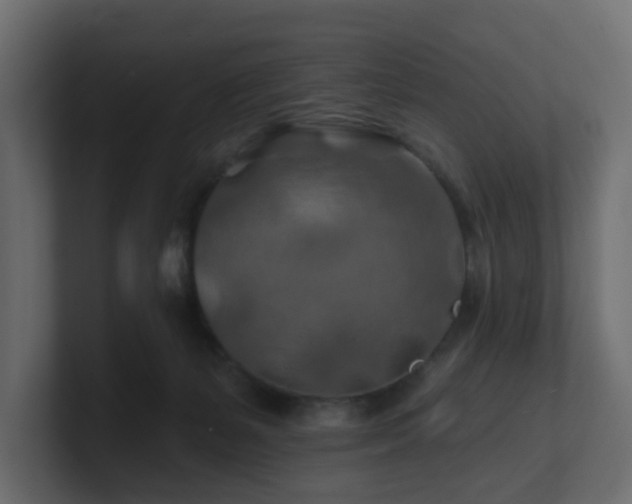 X0000101090127200806261459