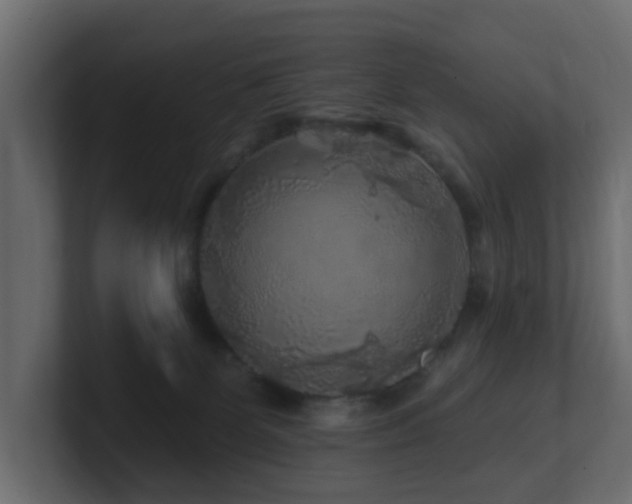 X0000101090131200806261459