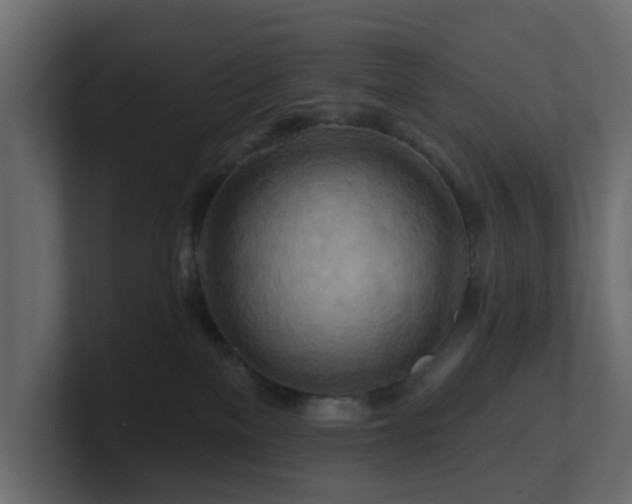 X0000101090137200806261459