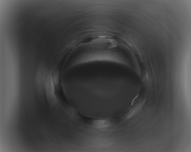 X0000101090139200806261459