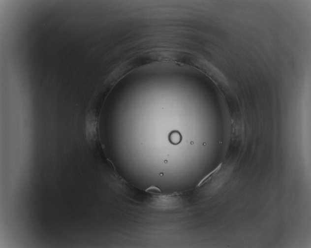 X0000101090141200806261459