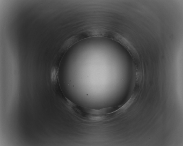 X0000101090142200806261459