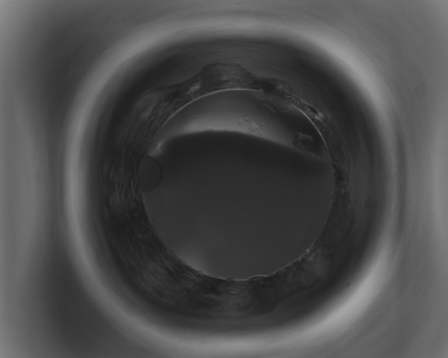 X0000101090143200806261459