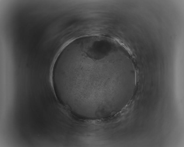 X0000101090147200806261458