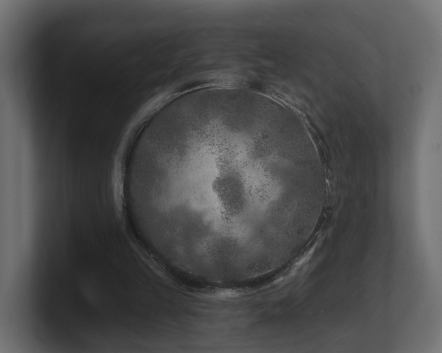 X0000101090149200806261458