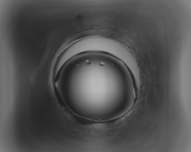 X0000101090150200806261458