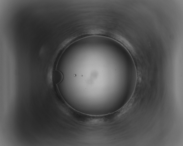 X0000101090155200806261458