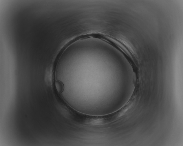 X0000101090156200806261458