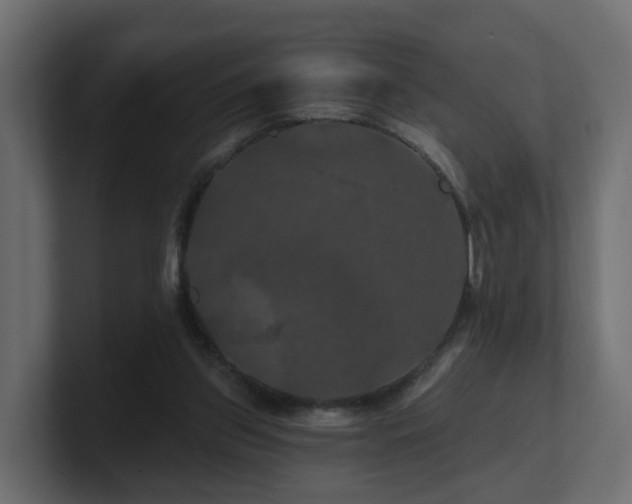 X0000101090157200806261459