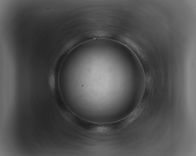 X0000101090158200806261459