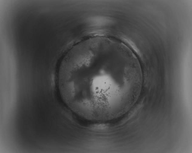 X0000101090161200806261459