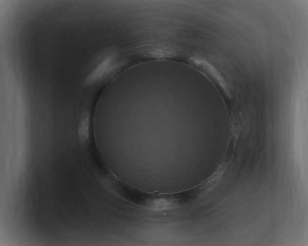 X0000101090163200806261459