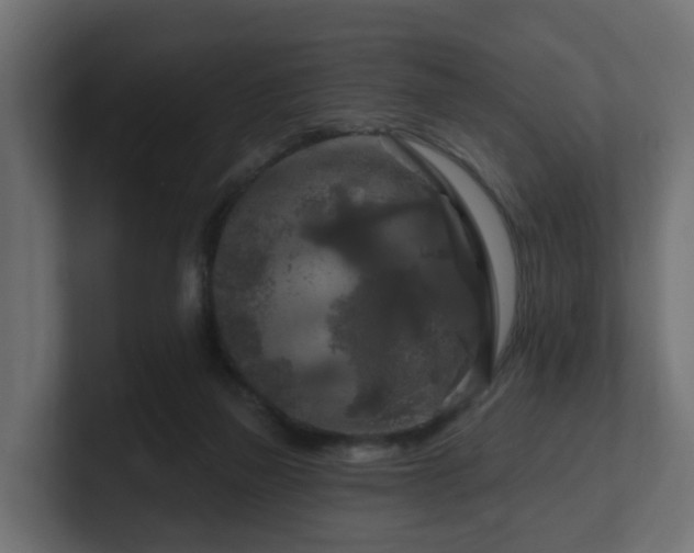 X0000101090165200806261459