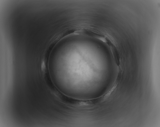 X0000101090166200806261459