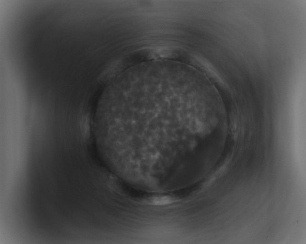 X0000101090169200806261459