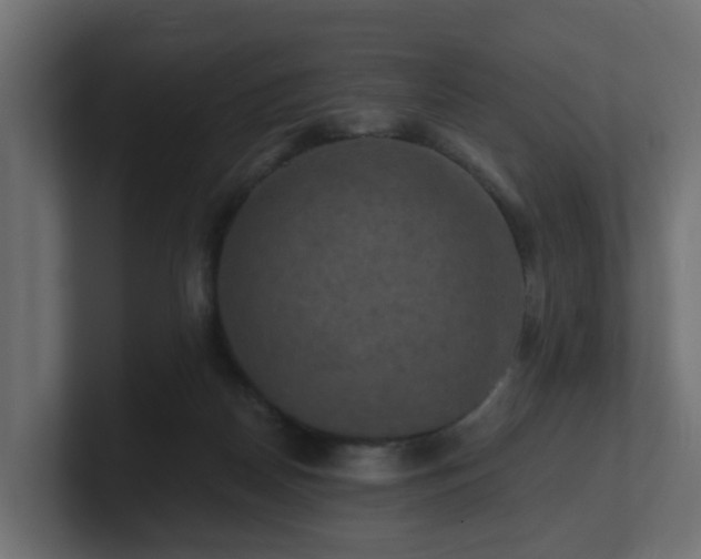 X0000101090170200806261459