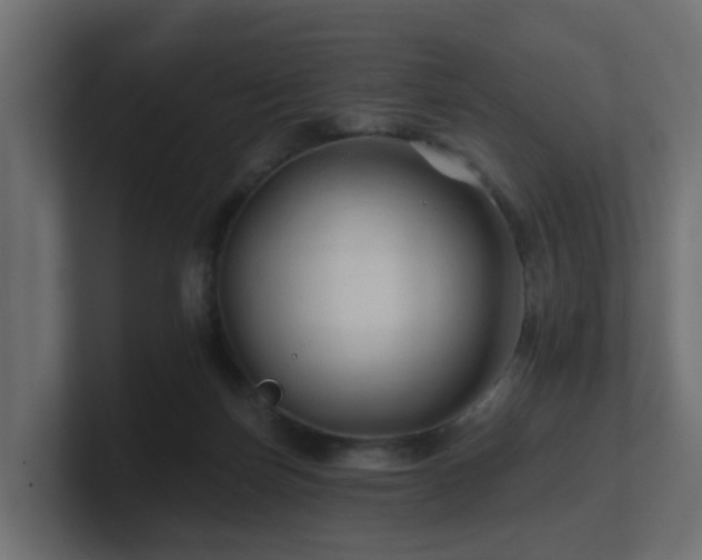 X0000101090171200806261459