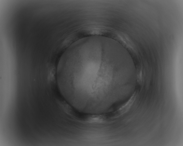 X0000101090175200806261459