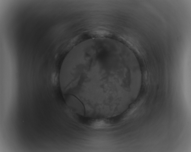 X0000101090177200806261459