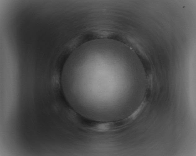 X0000101090178200806261459