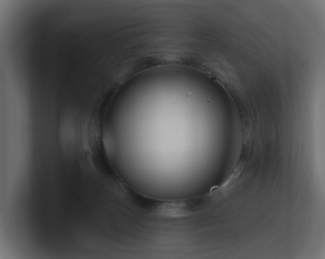 X0000101090179200806261459