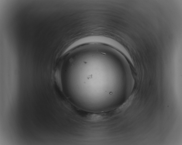 X0000101090180200806261459