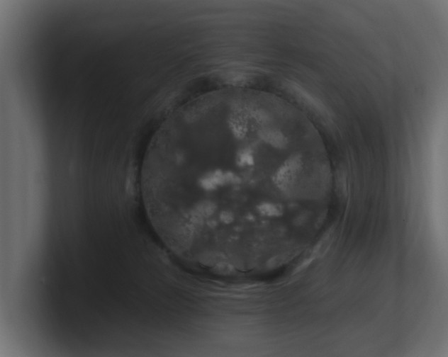 X0000101090181200806261459