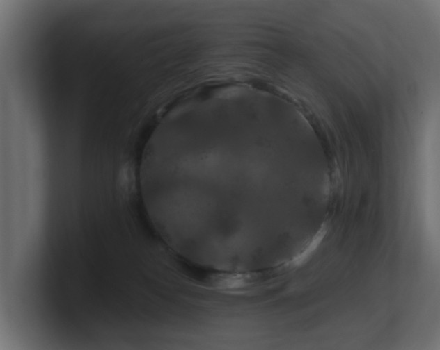 X0000101090182200806261459