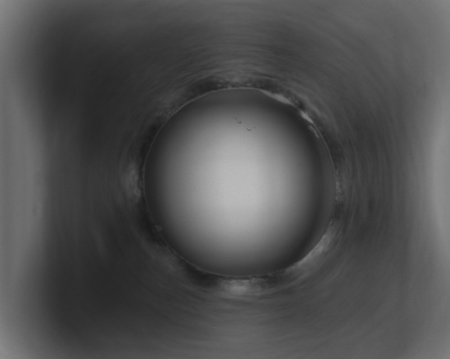 X0000101090187200806261459