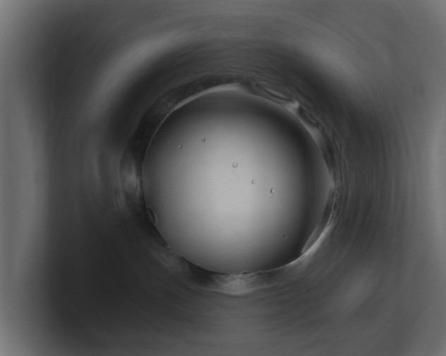 X0000101090191200806261459