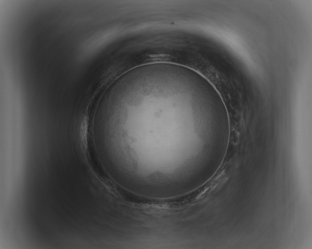 X0000101090194200806261458