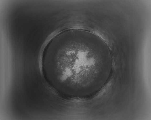 X0000101090199200806261458