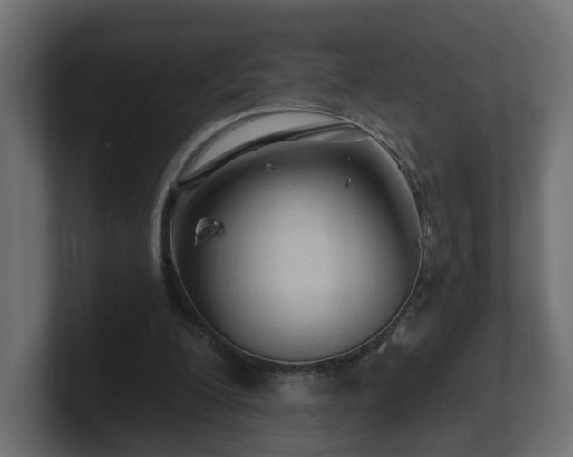 X0000101090200200806261458