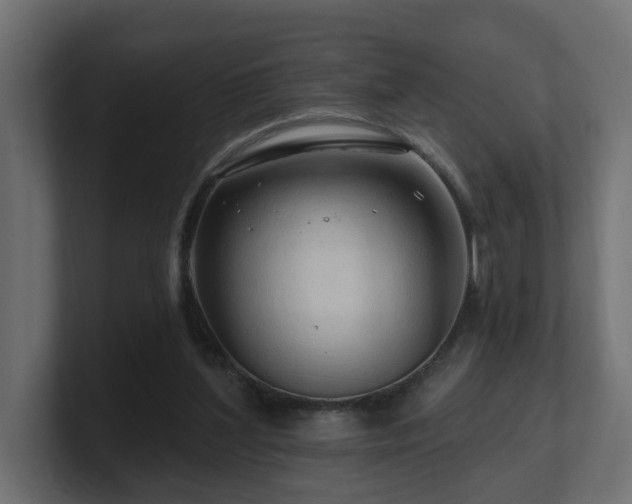 X0000101090204200806261458