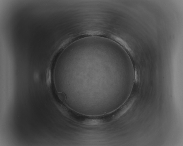 X0000101090205200806261458