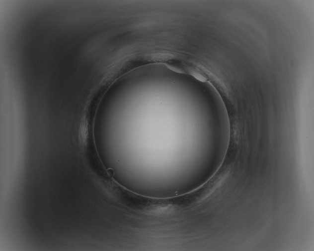 X0000101090206200806261458