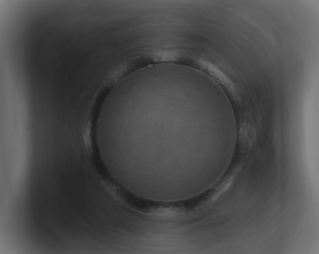 X0000101090209200806261458