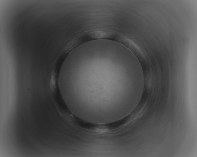 X0000101090214200806261458