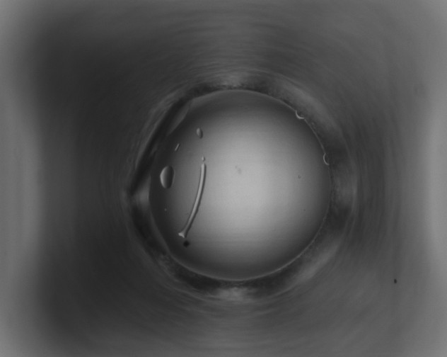 X0000101090216200806261458