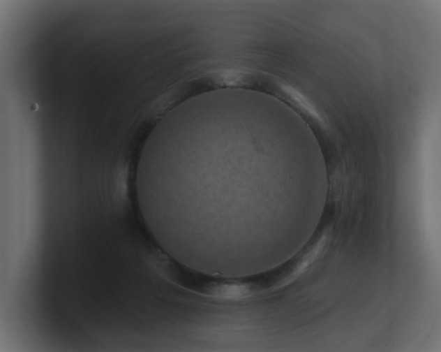 X0000101090217200806261458