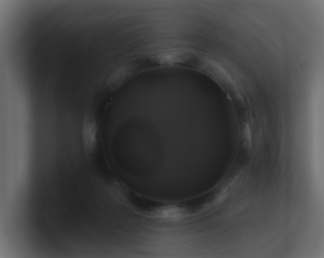 X0000101090219200806261458