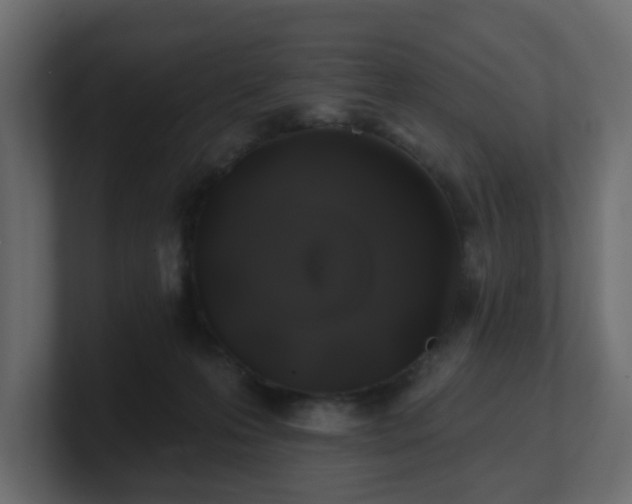 X0000101090223200806261458