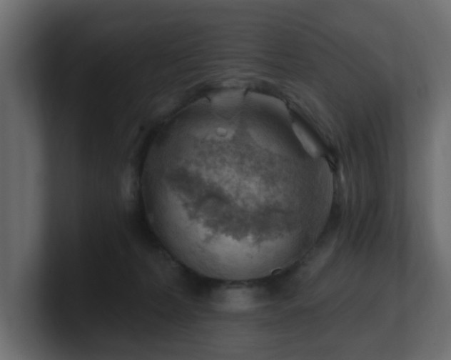 X0000101090228200806261458