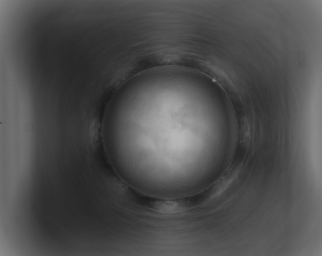 X0000101090230200806261458