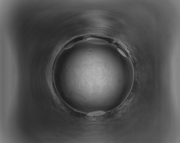 X0000101090241200806261457