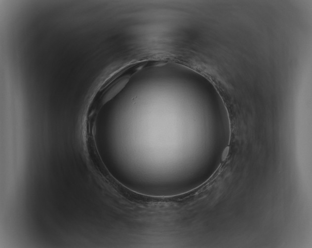 X0000101090242200806261457