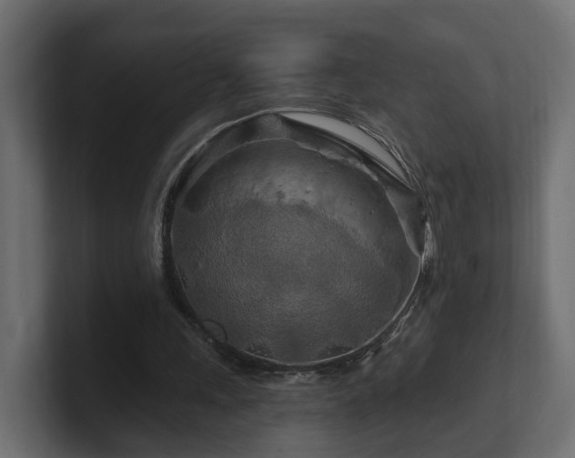 X0000101090243200806261457