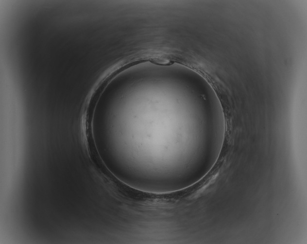 X0000101090244200806261457